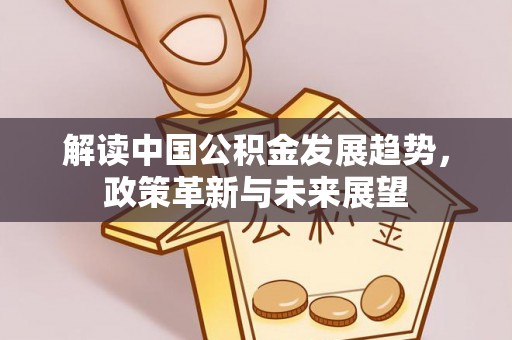 龙州解读中国公积金发展趋势，政策革新与未来展望