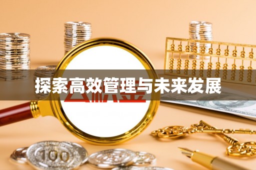 龙州探索高效管理与未来发展