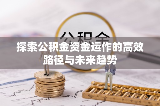 龙州探索公积金资金运作的高效路径与未来趋势
