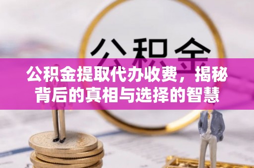 龙州公积金提取代办收费，揭秘背后的真相与选择的智慧