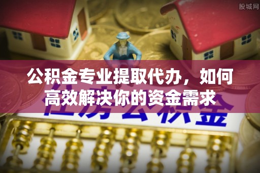 龙州公积金专业提取代办，如何高效解决你的资金需求