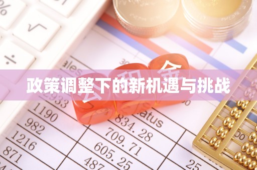 龙州政策调整下的新机遇与挑战