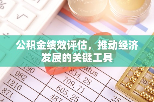 龙州公积金绩效评估，推动经济发展的关键工具