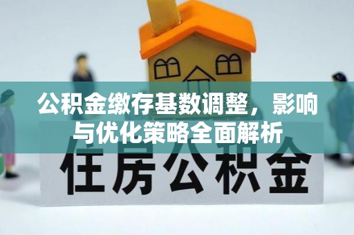 龙州公积金缴存基数调整，影响与优化策略全面解析
