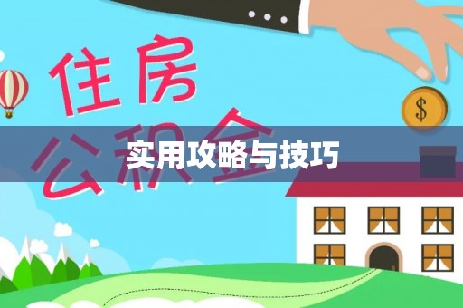 龙州实用攻略与技巧