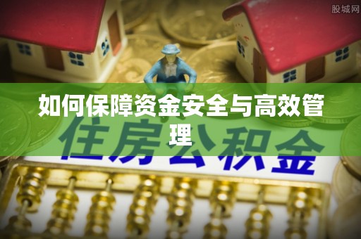龙州如何保障资金安全与高效管理