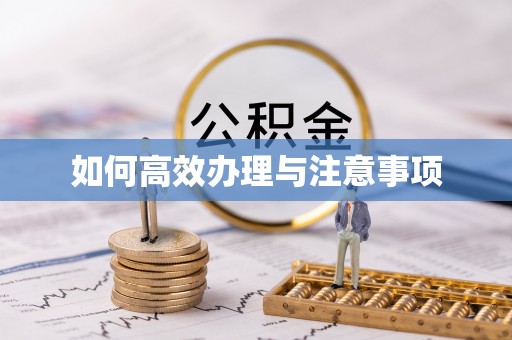 龙州如何高效办理与注意事项
