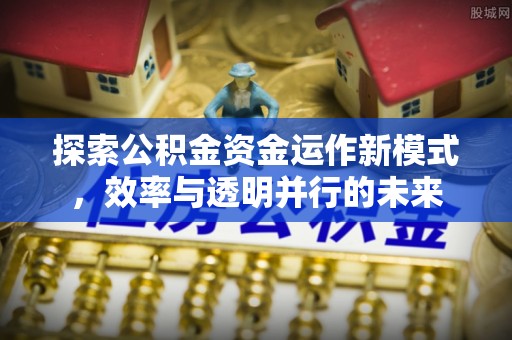 龙州探索公积金资金运作新模式，效率与透明并行的未来