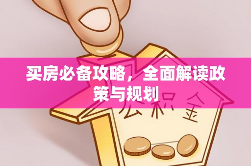 龙州买房必备攻略，全面解读政策与规划