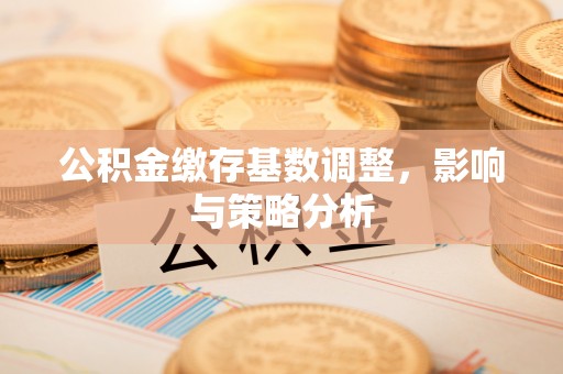龙州公积金缴存基数调整，影响与策略分析