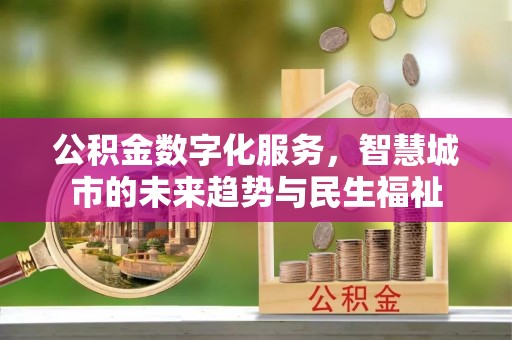 龙州公积金数字化服务，智慧城市的未来趋势与民生福祉