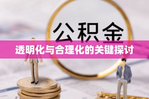 龙州透明化与合理化的关键探讨