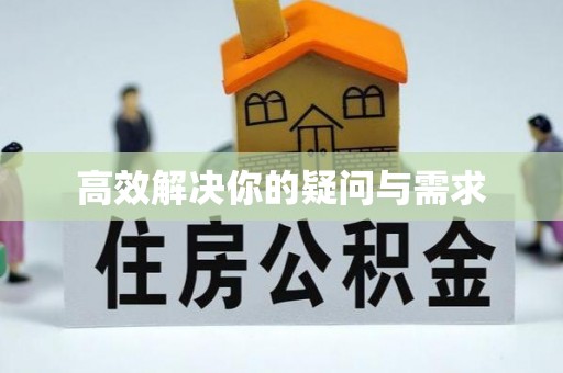 龙州高效解决你的疑问与需求
