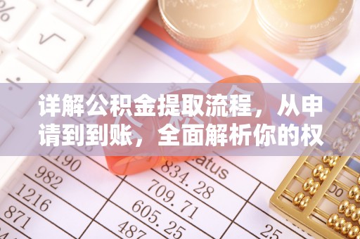 龙州详解公积金提取流程，从申请到到账，全面解析你的权益与操作步骤