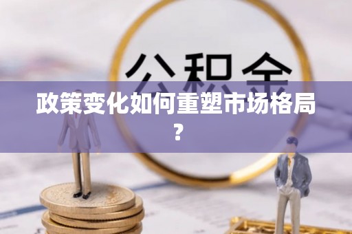 龙州政策变化如何重塑市场格局？