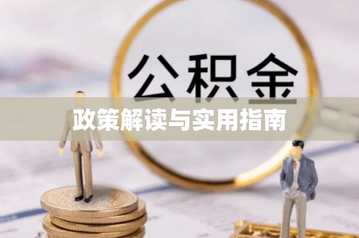 龙州政策解读与实用指南