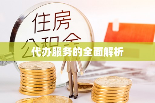 龙州代办服务的全面解析