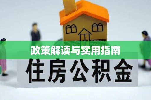 龙州政策解读与实用指南