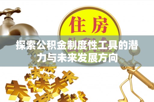龙州探索公积金制度性工具的潜力与未来发展方向