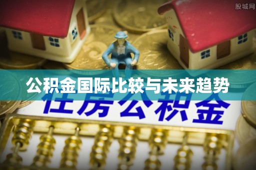龙州公积金国际比较与未来趋势