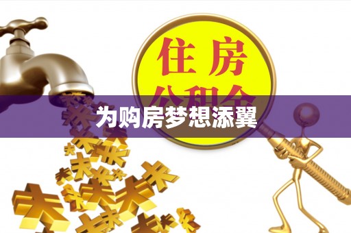 龙州为购房梦想添翼