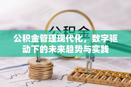 龙州公积金管理现代化，数字驱动下的未来趋势与实践