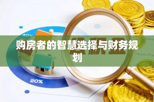 龙州购房者的智慧选择与财务规划