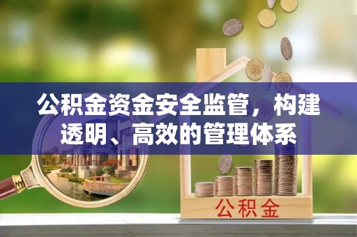 龙州公积金资金安全监管，构建透明、高效的管理体系