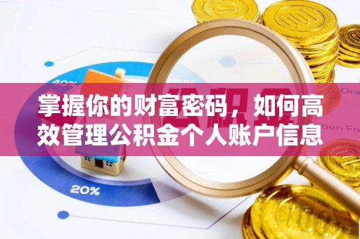 龙州掌握你的财富密码，如何高效管理公积金个人账户信息