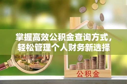 龙州掌握高效公积金查询方式，轻松管理个人财务新选择