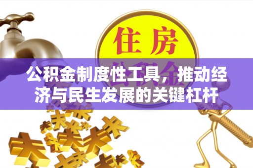 龙州公积金制度性工具，推动经济与民生发展的关键杠杆