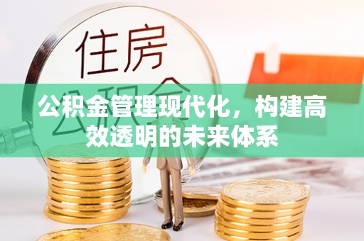 龙州公积金管理现代化，构建高效透明的未来体系