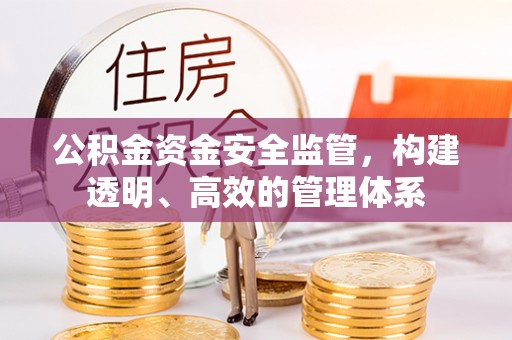 龙州公积金资金安全监管，构建透明、高效的管理体系