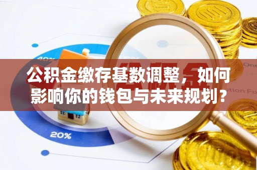 龙州公积金缴存基数调整，如何影响你的钱包与未来规划？
