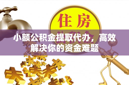 龙州小额公积金提取代办，高效解决你的资金难题