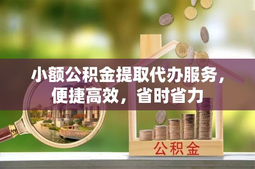 龙州小额公积金提取代办服务，便捷高效，省时省力