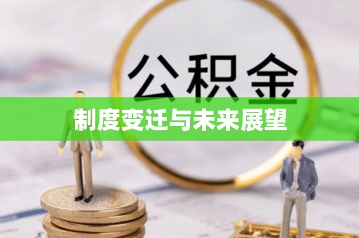 龙州制度变迁与未来展望