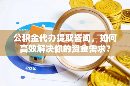 龙州公积金代办提取咨询，如何高效解决你的资金需求？