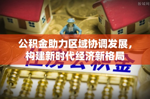 龙州公积金助力区域协调发展，构建新时代经济新格局
