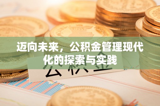 龙州迈向未来，公积金管理现代化的探索与实践