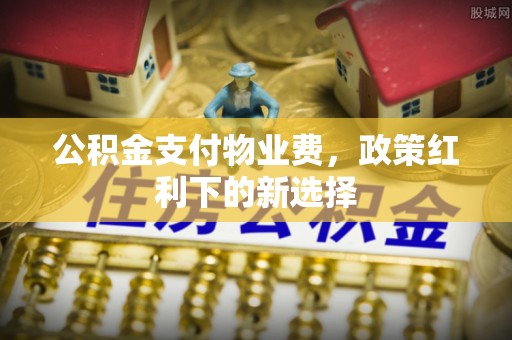 龙州公积金支付物业费，政策红利下的新选择