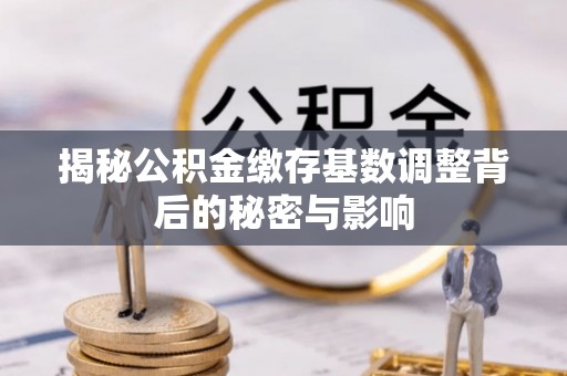 龙州揭秘公积金缴存基数调整背后的秘密与影响