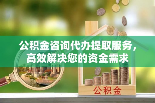 龙州公积金咨询代办提取服务，高效解决您的资金需求