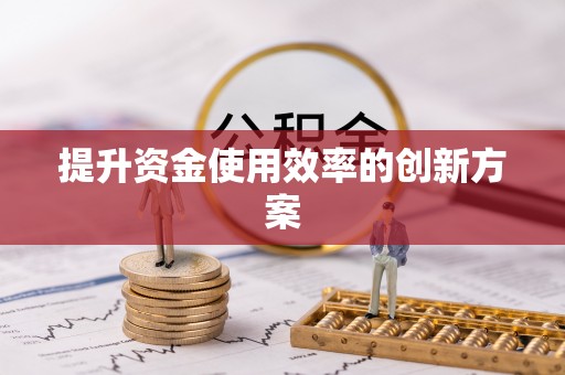 龙州提升资金使用效率的创新方案