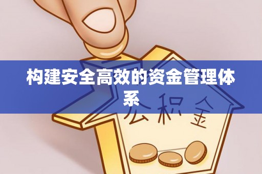 龙州构建安全高效的资金管理体系