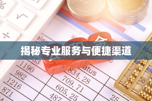 龙州揭秘专业服务与便捷渠道