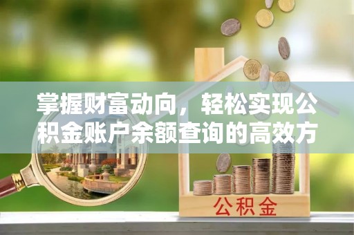 龙州掌握财富动向，轻松实现公积金账户余额查询的高效方式