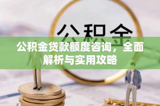 龙州公积金贷款额度咨询，全面解析与实用攻略