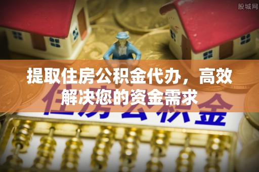 龙州提取住房公积金代办，高效解决您的资金需求