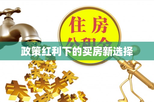 龙州政策红利下的买房新选择
